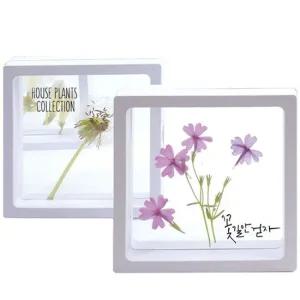 투명액자 투명 액자 하바리움 압화 곤충 (대) (10인용) 압화투명