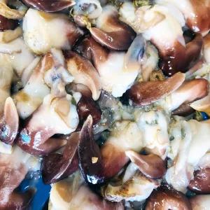 여수 손질 새조개 초코새조개 제철 샤브샤브 200g