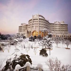 [강원 호텔] 쏠비치 양양 호텔 (양양(서피비치,낙산))