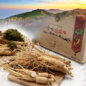 풍기인삼 5, 6년근 750g 수삼1채 18~23뿌리