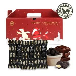 [산과들에] 크리스마스 다크초콜릿 아몬드 선물세트(20입, 견과초콜릿)