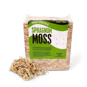 뉴질랜드 최고급 천연 수태 500g 풍란 자생란 이끼 토피어리