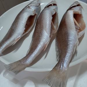 반건조 제수용 민어조기 33cm  (2P) 3마리