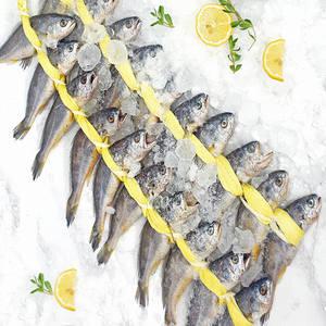 법성포 영광굴비 가정용 영광굴비 20마리 1.6kg/18cm내외