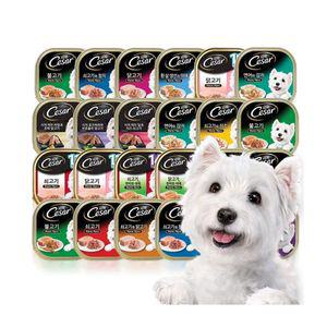 [하프클럽/밸리스]시저 강아지 습식캔 심플리, 시저캔 습식사료 모음