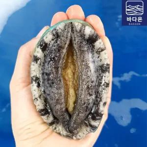 완도활전복 1kg 8-9미(미당111g내외) [산소팩]