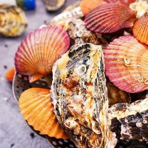 굴키우는남자 통영 홍가리비+석화세트4kg(각2kg)