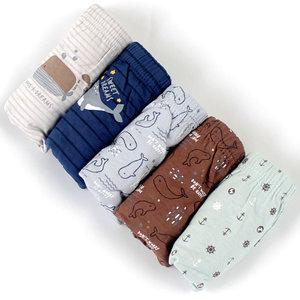 남아 아동 초등학생 순면 삼각 팬티 5매입 세트 (65-85) M527