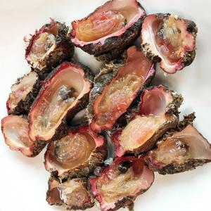 통영 자연산 제철 돌멍게 1kg 싱싱한 멍게 산지