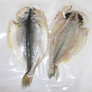 [고씨네수산]부세조기 33cm내외 2미 크기별/ 반건조 손질(냉동)