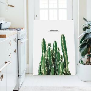 무드 접이식 액자테이블 800x600 선인장