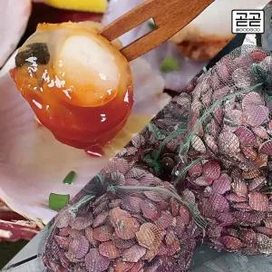 통영 가리비 알이 통통 제철 국내산 비단 가리비 2kg 당일조업