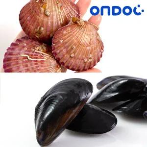 [롯데백화점]온도씨 [온도씨]홍합3kg+가리비2kg (2인)