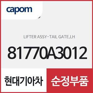 [현대모비스]테일게이트 리프터(트렁크 쇼바),좌측(운전석쪽) (81770A3012) 레이