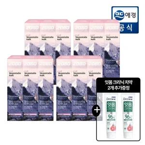 2080 퓨어 마운틴 솔트 치약 핑크민트향 120g x 12개 + 2개 추가 GIFT