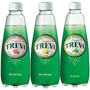 트레비 라임 +자몽 +레몬 300ml 3종 3박스 (총60펫)