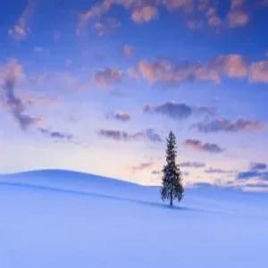 다시 돌아온 눈꽃여행 [대구출발] 북해도 핵심 4일_스노우래프팅+도야 유람선/무제한 게뷔페+GIFT 3종