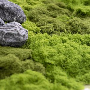 인조 이끼 테라리움 (100g) 3컬러 인테리어 조화 장식 소품 원예 만들기 diy 재료