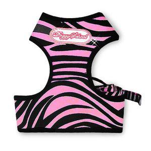 도기스쿨 애견 지브라하네스