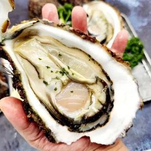 [어부장터] 자연산 바위굴 5kg(12-15미 내외)