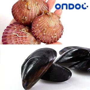 [온도씨][온도씨]홍합5kg+가리비3kg (4인)