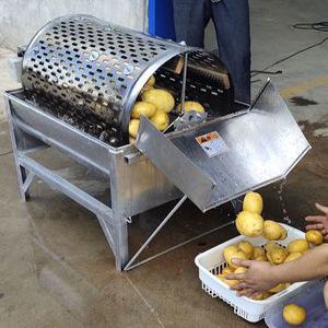 생강세척기 박피기 고추세척기 구근류 사과 절임배추 채소 통돌이 농산물 토란