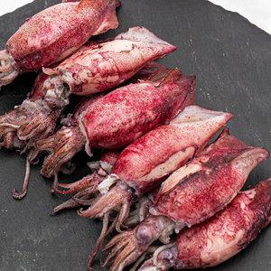 급냉 총알 한치 500g