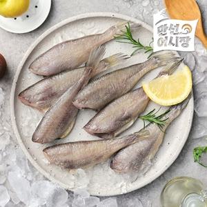 [만선어시장] 국내산 반건조 두절 참조기 250g x 2 (팩당 9~10미)