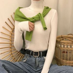 8컬러 캐시미어 골지폴라티셔츠 폴라티 여성 목티 SD-210916