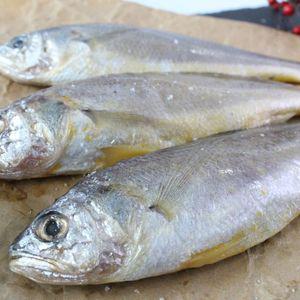 [제주직송] 제주 참조기 (대) 20마리(4팩)