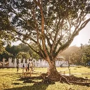 괌 5일#리가로얄 #새단장된 라구나클럽룸 #조식포함 #NEW시내관광 #돌핀크루즈