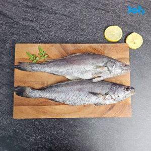 [맛도리] 보양식 국내산 동결건조 손질 통민어 3미