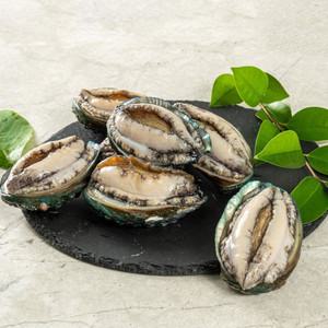 [해남미소] 강성푸드 활전복 1kg(13-14미)