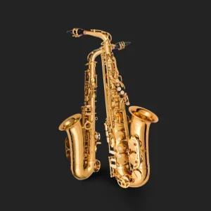 초보용 연습용 입문용 알토 색소폰