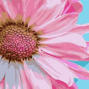 DIY 유화그리기 하모니아트 40x50 세트 코스모스