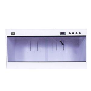 파충류 육지거북이 포맥스사육장 레오파드 자온조