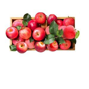 비즈 보석 사과 큐빅 정사각 구슬붙이기 그림 비즈십자수 동물 과일배경 푸른사과 초록사과