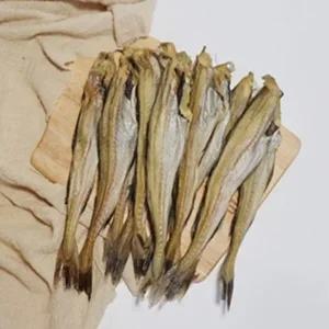 국내가공 반건조 두절 노가리 1kg아이스박스포장무료