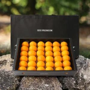 명품제주 프리미엄 비가림 귤 선물세트(로얄과) 4.5kg