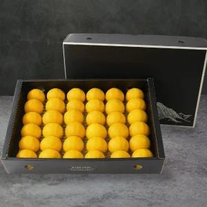 산지직송 명품제주 프리미엄 황금향 선물세트 4.5kg 소과
