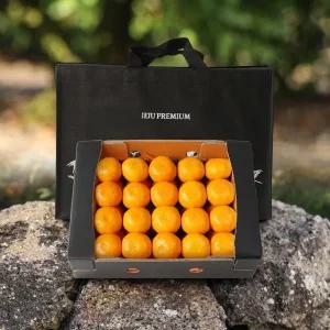 명품제주 프리미엄 비가림 귤 선물세트(로얄과) 3kg