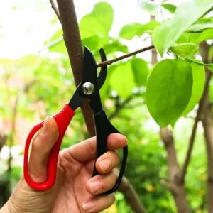 일본 전지 원예 가드닝 꽃 다목적 나무전지 가위 가지치기 접목칼 적과가위 장대전지가위