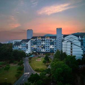 금호리조트 화순/설악/통영/제주&아산스파포레