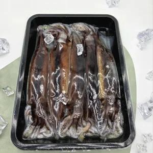 국내산 급냉 활오징어 5미 750g내외+초장