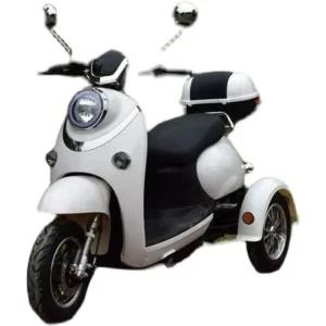 세바퀴 오토바이 미니 배달 출퇴근 여행 레져 바이크 스쿠터 - 60V 20A 리튬 배터리