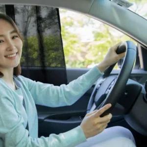 방충망 가리개 차량 자동차 햇빛 햇빛가리개 (470lK)