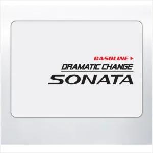 D24 쏘나타호환 뉴라이즈 주유구 데칼스티커 활용도높은 편리한 튜닝스티커 꾸미기