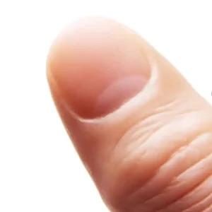 인조손가락 손가락 의수 골무 마네킹 인공 네일샵 네일아트 연습용 경질 엄지 라지(2개)