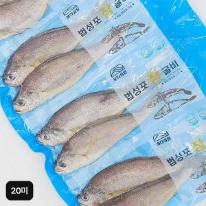 [NS홈쇼핑]영광법성포햇굴비 (특장대) 20미 (2미X10팩)[35451165]