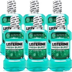 리스테린 후레쉬 버스트 750ml 6개